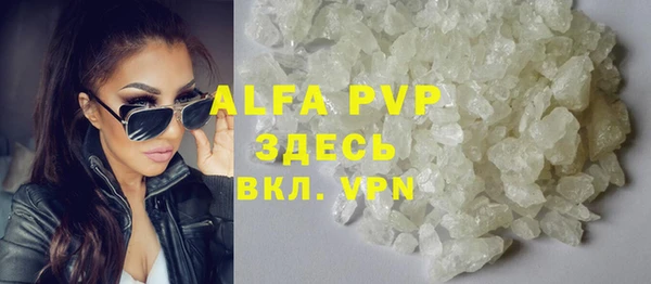 индика Алзамай