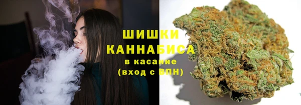 индика Алзамай